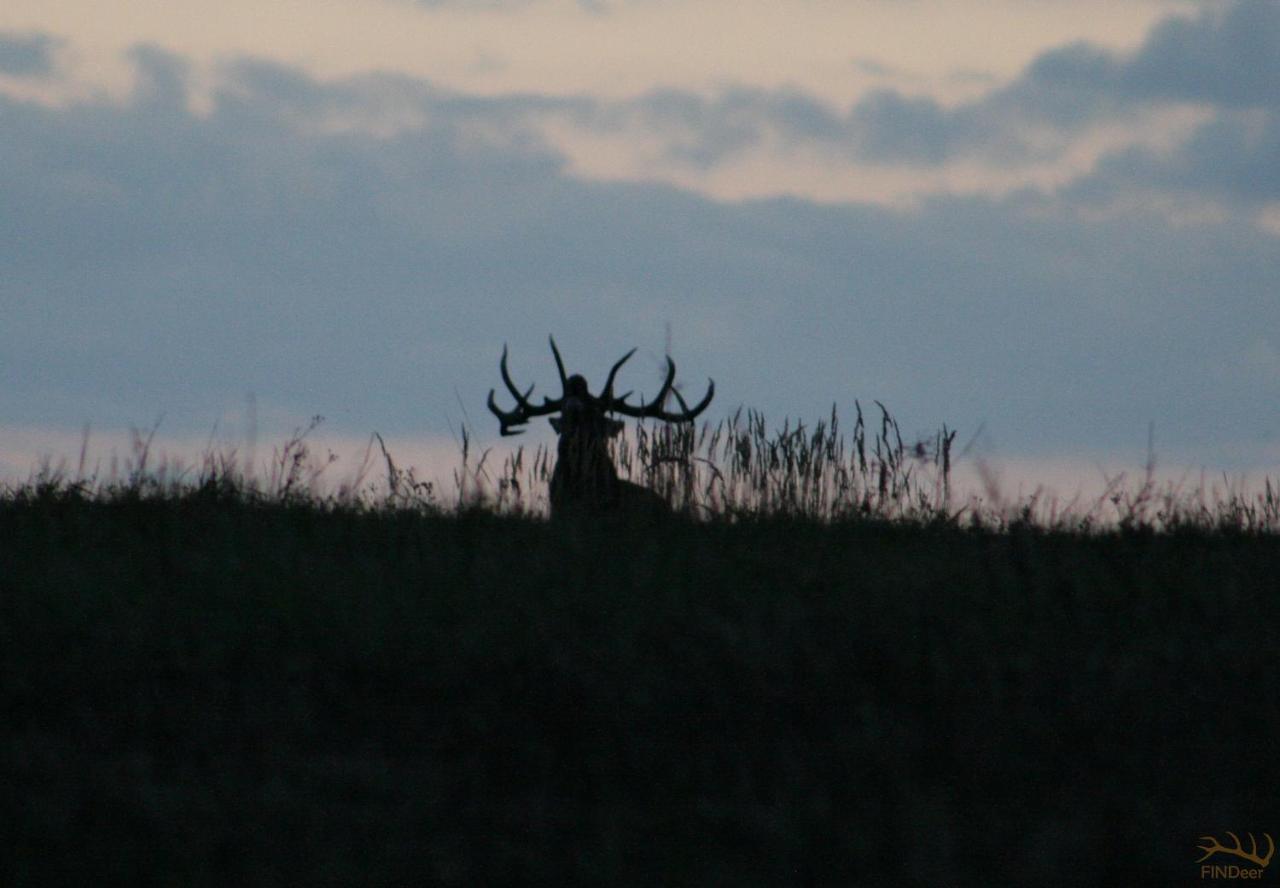 Domek Triftberg Chojna Buitenkant foto