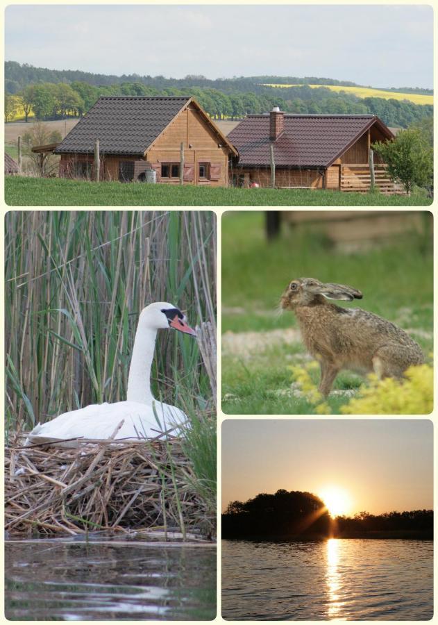 Domek Triftberg Chojna Buitenkant foto
