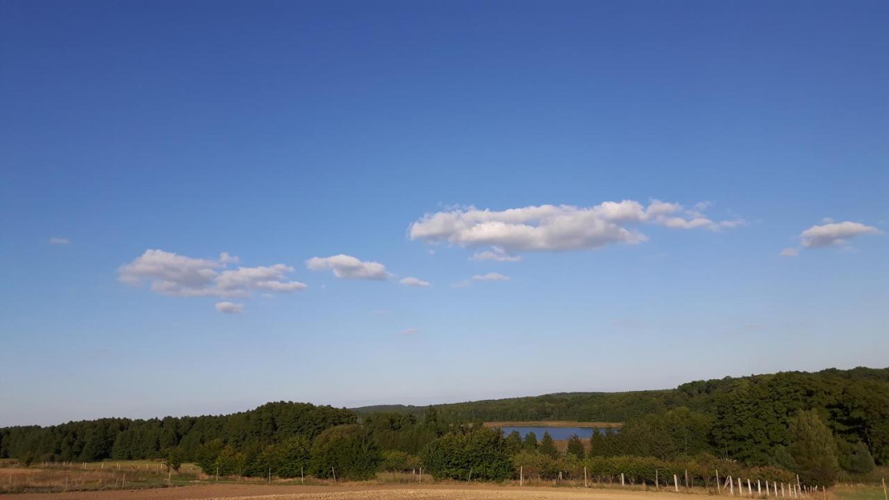 Domek Triftberg Villa Chojna Buitenkant foto