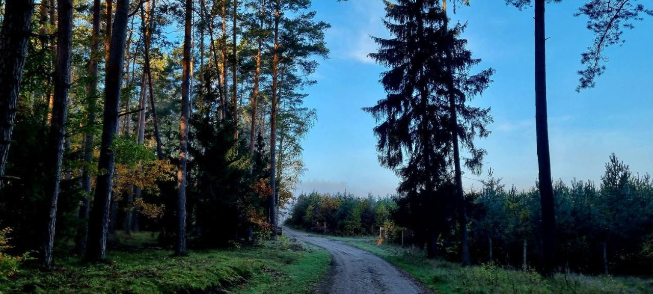 Domek Triftberg Villa Chojna Buitenkant foto