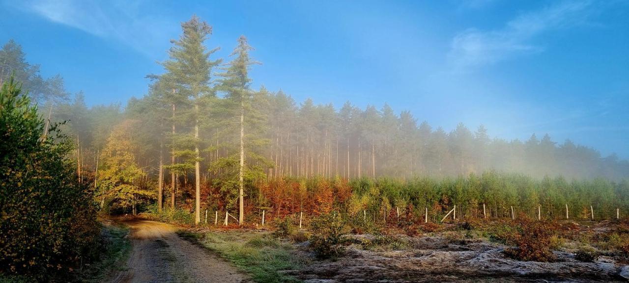Domek Triftberg Chojna Buitenkant foto