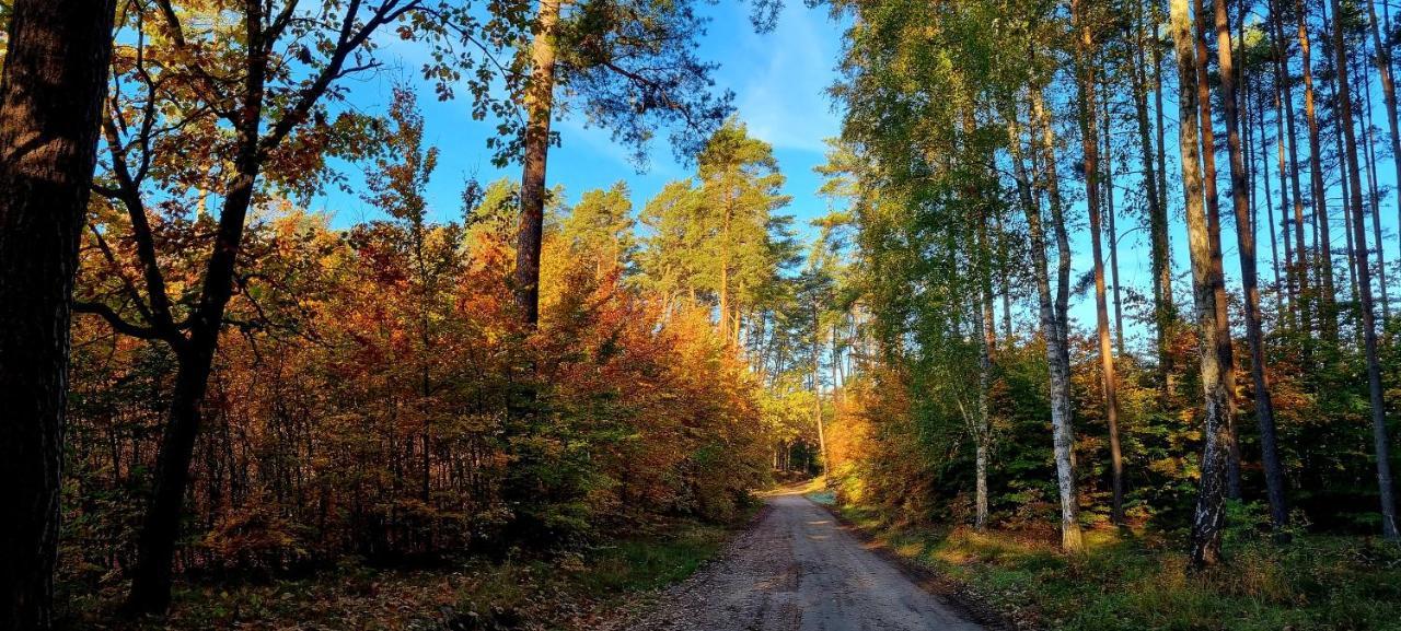Domek Triftberg Chojna Buitenkant foto